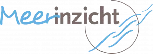 Meerinzicht